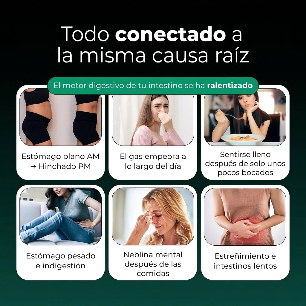 Aélia™ - Formula for Fatty Liver and Hepatic Lymphatic Drainage