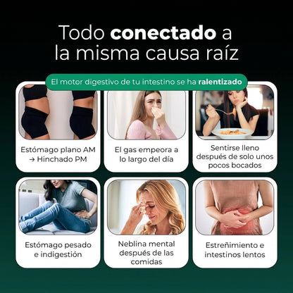 Aélia™ - Formula for Fatty Liver and Hepatic Lymphatic Drainage