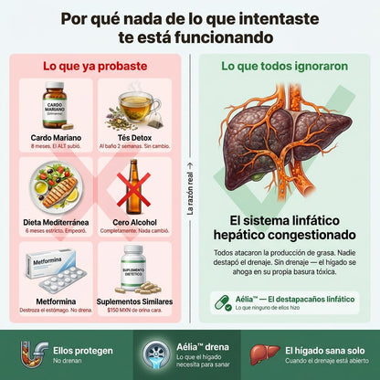 Aélia™ - Fórmula para Hígado Graso y Drenaje Linfático Hepático