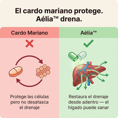 Aélia™ - Fórmula para Hígado Graso y Drenaje Linfático Hepático