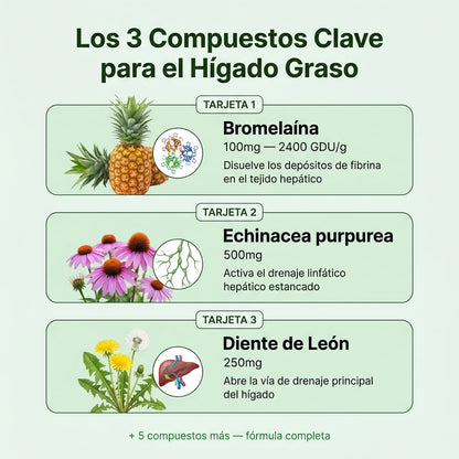 Aélia™ - Fórmula para Hígado Graso y Drenaje Linfático Hepático