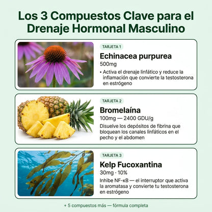 Aélia™ - Fórmula para Hombres: Drenaje Linfático y Balance Hormonal