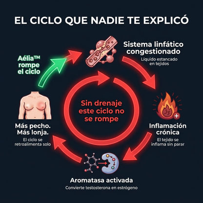 Aélia™ - Fórmula para Hombres: Drenaje Linfático y Balance Hormonal
