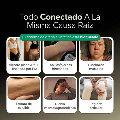 New Maximum Strength Formula – Lymphatic Drainage Capsules